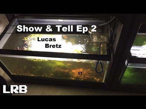ST Show and