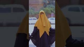 Hijab And Niqab Style