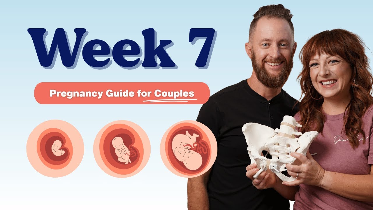 7 недель беременности — советы для пар | Пошаговое руководство по беременности