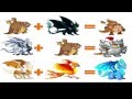 How To Breed Rare Hybrid Dragons In Dragon City