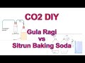 AQUASCAPE - CO2 DIY Gula-Ragi dan Sitrun-Baking Soda