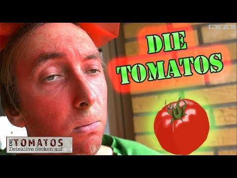 Die Tomatos - Detektive decken auf! TEIL 1 - PARODIE
