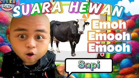 Lagu LUCU SUARA HEWAN #suarabinatang #suarahewan #laguanak