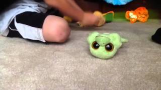 The Awkward Turtle Movie-Rated R