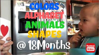 Colors, Alphabet, Animals, Shapes | Ep. 28 | Flashcards | 18months Old || PlayLittleMister by PlayLittleMisters 434 views 2 years ago 6 minutes, 24 seconds