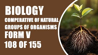 BIOLOGY FORM V COMPERATIVE OF NATURAL GROUPS OF ORGANISMS 108 OF 155