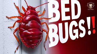 Bed Bugs: The Shocking Truth You've Never Heard Documentary