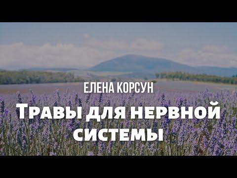 Фитотерапевт Елена Корсун "Травы для нервной системы"