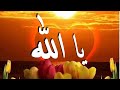 يا الله☝️☝️حالات واتس اب دينية قصيرة -مقاطع انستقرام دينية- مقاطع دينية قصيرة