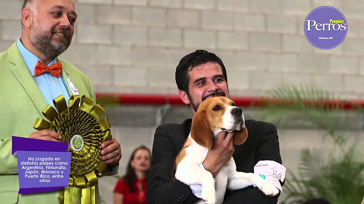 Perros premier con Cristian Stefanescu