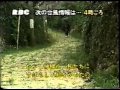 台風情報と沖縄の音楽6/10