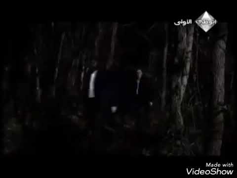 وادي الذئاب ميماتي 