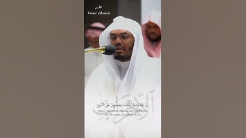 سورة الآحزاب - Al-Ahzāb 💐.                   فضيلة الشيخ #ياسر_الدوسري 🌿.