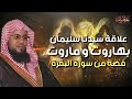 محمد الشنقيطي سر علاقة سيدنا سليمان بهاروت وماروت و قصتهم العجيبة التي جاءت في سورة البقرة
