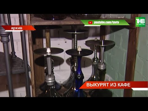 Госдума приняла новый закон - курить вейпы и кальяны в общественных местах запрещено | ТНВ