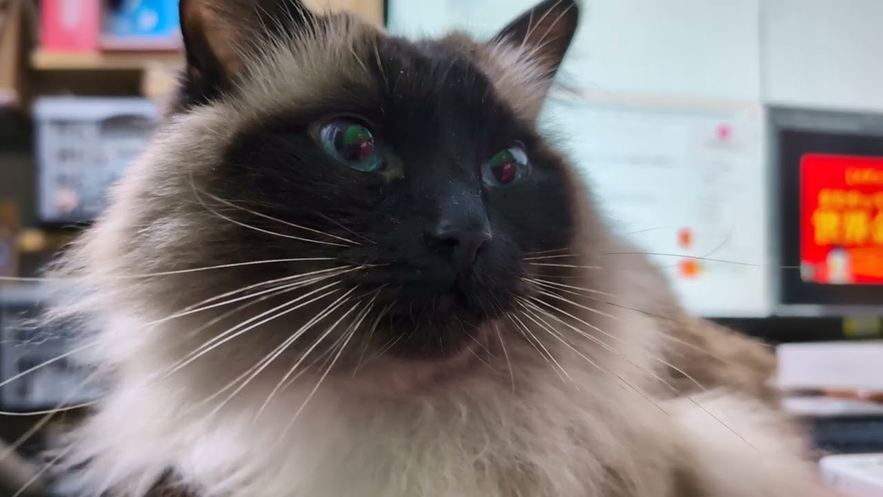 毎日リッちゃん2026/01/04