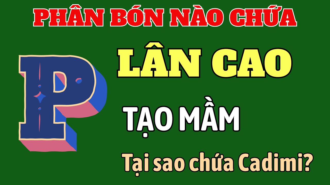 Phân bón nào chứa hàm lượng P cao? | Lân tạo mầm | Tại sao Cadimi có trong phân bón chứa lân?