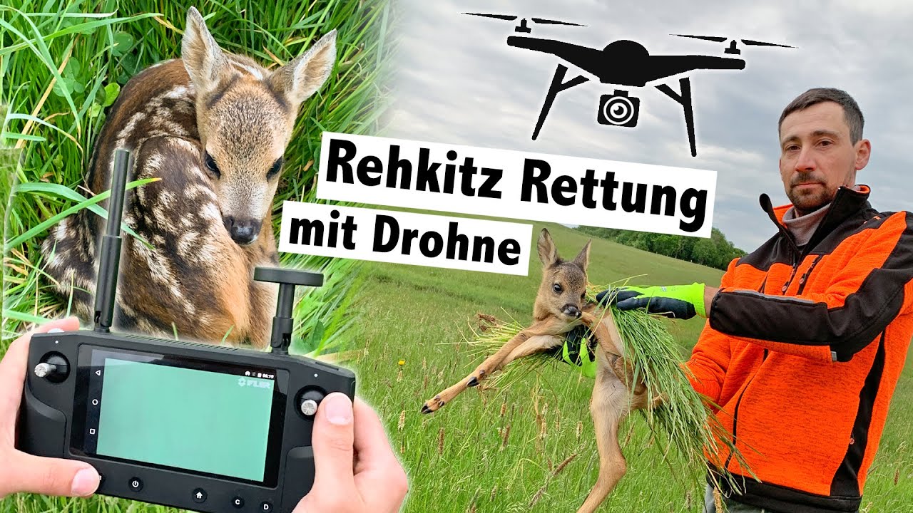 Rehkitzrettung mit Drohne und Wärmebildkamera | Pro Kitz e.V. - YouTube