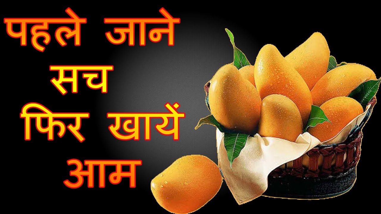 [Hindi} Health Benefits of Mango कब , कैसे और कितना खायें आम YouTube