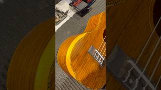 Ukulele Concert Marquês UKC223