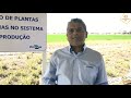 Estação 1 - Manejo de plantas daninhas no sistema de produção. Encontro de Inverno Coamo