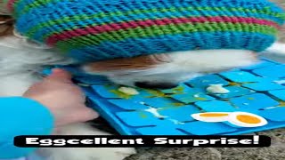 Must-Try 🐶 My Senior Dog LOVES This Easy Enrichment Toy and Healthy Snack 🐶🍖