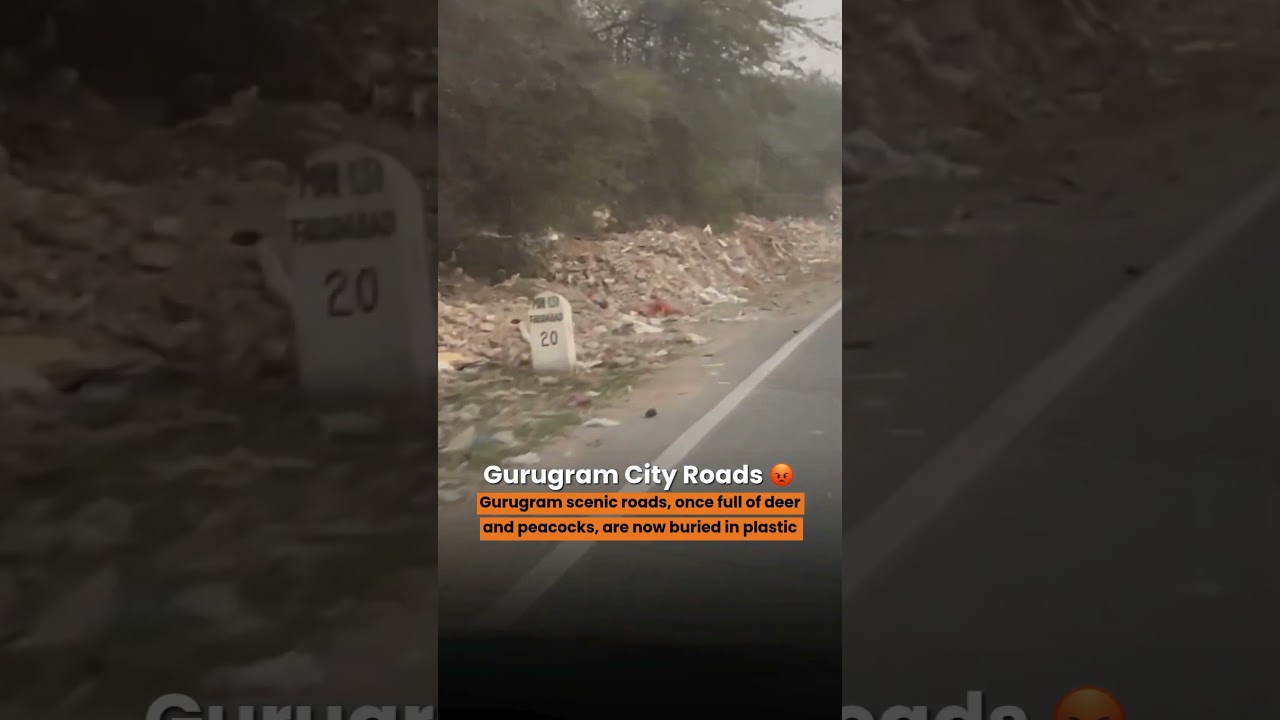 Gurugram’s Roads: From Wildlife to Waste | A City Losing Its Natural Soul