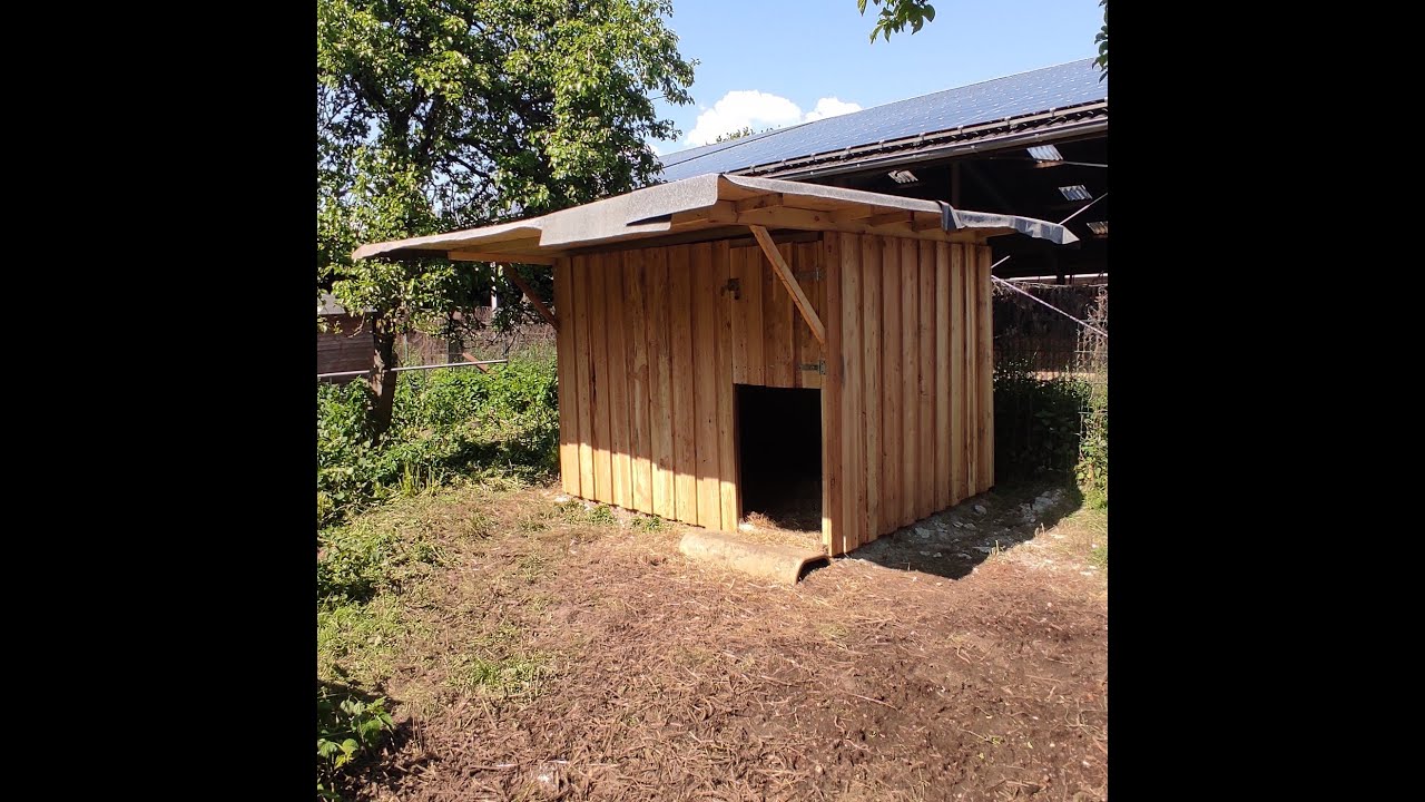 DIY Ziegenstall für Zwergziegen        New Goat enclosure
