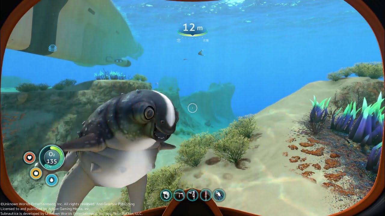 Subnautica 27 カドルフィッシュの孵化 トロフィー 最高のトモダチ 138日目 Youtube