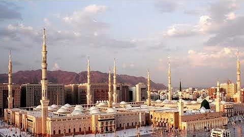 سورة غافر - الشيخ أنس العمادي حفظه الله.