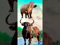 @ChallengeHub80, आज का चैलेंज कितने लोग 🤔💯, #challenge #youtubeshorts #shotfeed #shorts #viral