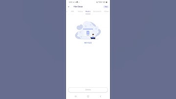 All Files Access Permission  Function Demo