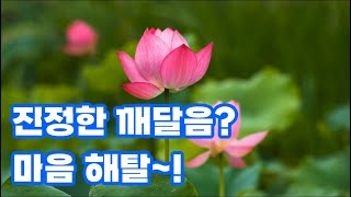 참선도 마음 수련의 진정한 깨달음이란? 정각(正覺), 정혜심(定慧心) 발현, 심해탈(心解脫)을 스스로 알아차리는 길~!