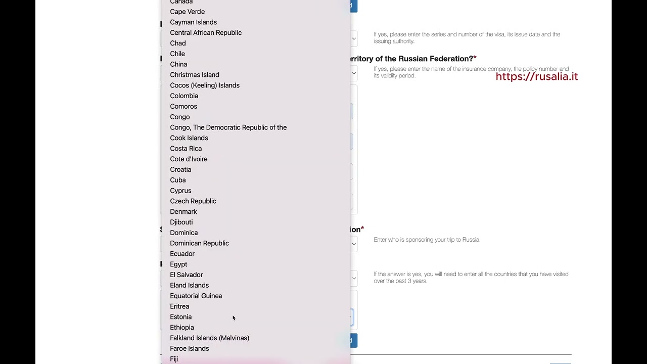 Come richiedere il visto elettronico (e-visa) per la Russia
