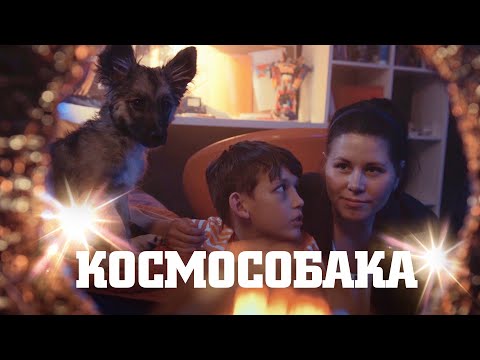 Короткометражка «Космособака» | Подготовлено Deeafilm