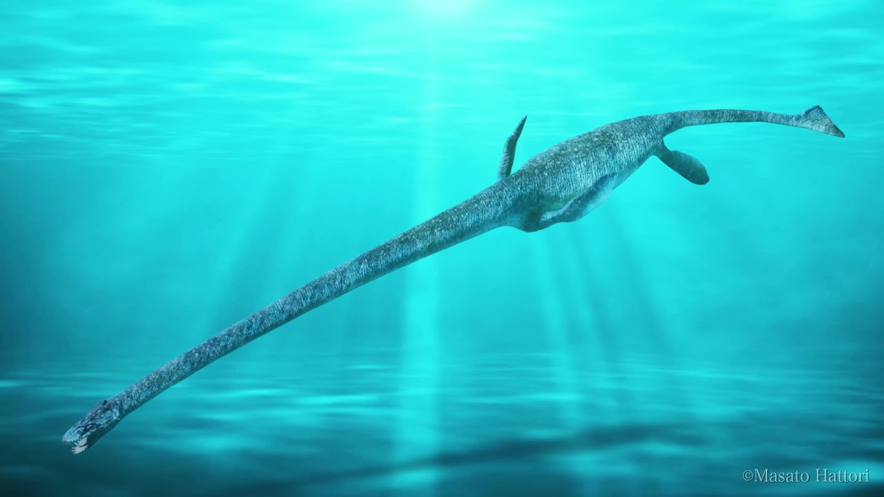 エラスモサウルスと泳ごう！　Swimming with Elasmosaurus