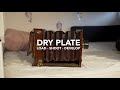 Dry plate photography (load - shoot - develop) 2020