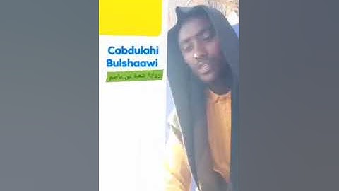 ما تيسر من سورة آل عمران  // برواية شعبة عن عاصم//      ( عبدالله بلشاوى )  2021/ 25/5