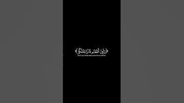 ولئن اطعتم بشرا مثلكم شاشة سوداء ياسر الدوسري سورة المؤمنون 🌱