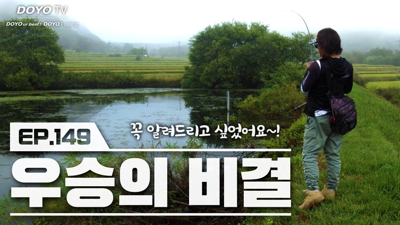 [도요TV ep.149] MLF 우승했던 패턴으로 배스를 꼬셔볼게요~ 꼭 해보세요!