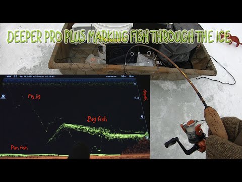 Deeper Pro Plus Ice Fishing, Reading Sonar And Use, Perch and Pike 