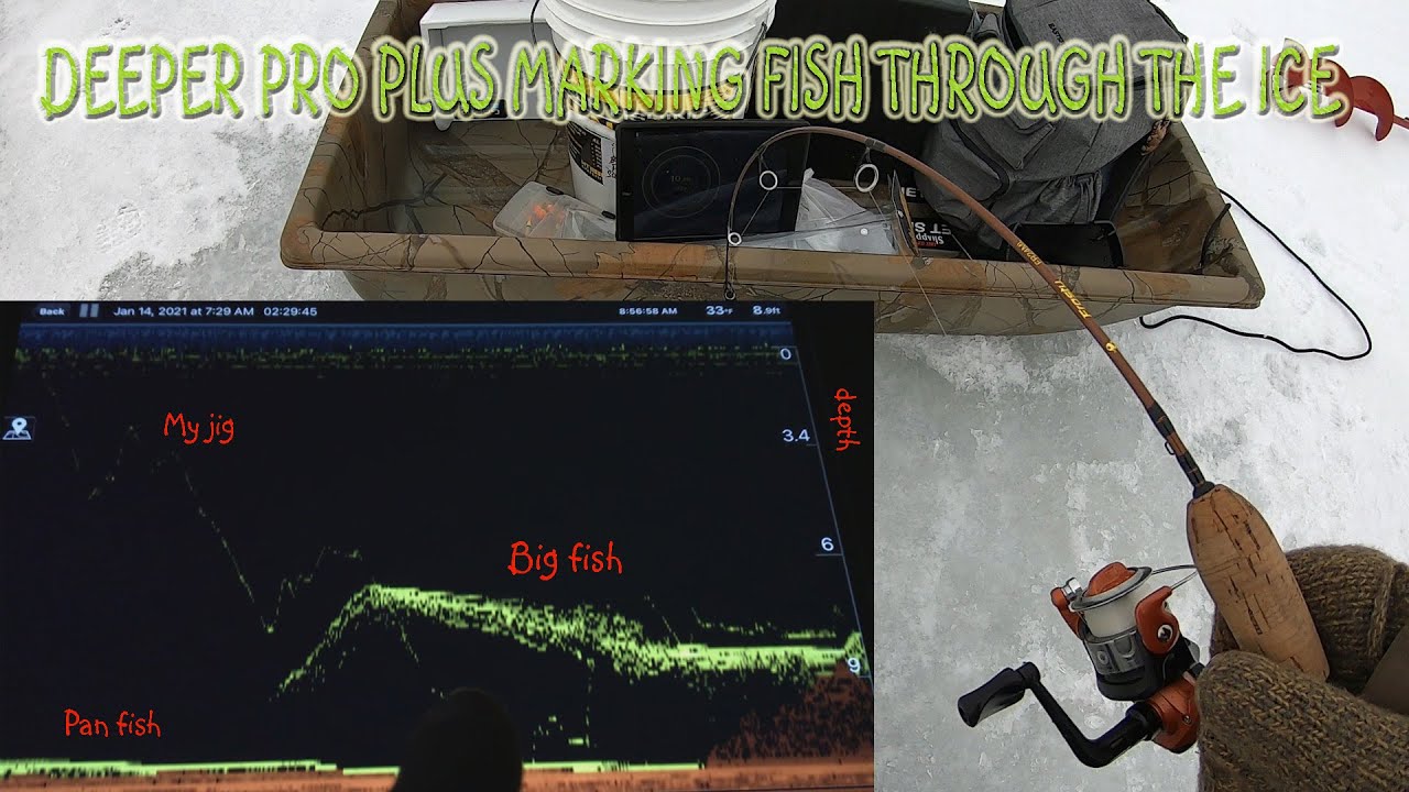 Deeper Pro Plus Ice Fishing, Reading Sonar And Use, Perch and Pike 