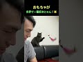 ゴロゴロ楽しいにゃん！