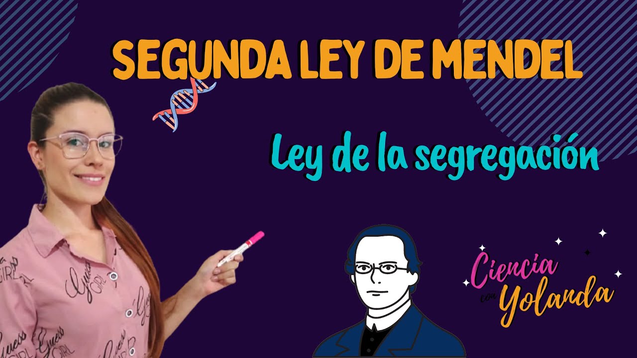 Ejercicio resuelto LA SEGUNDA LEY DE MENDEL Explicacin rpida y sencilla