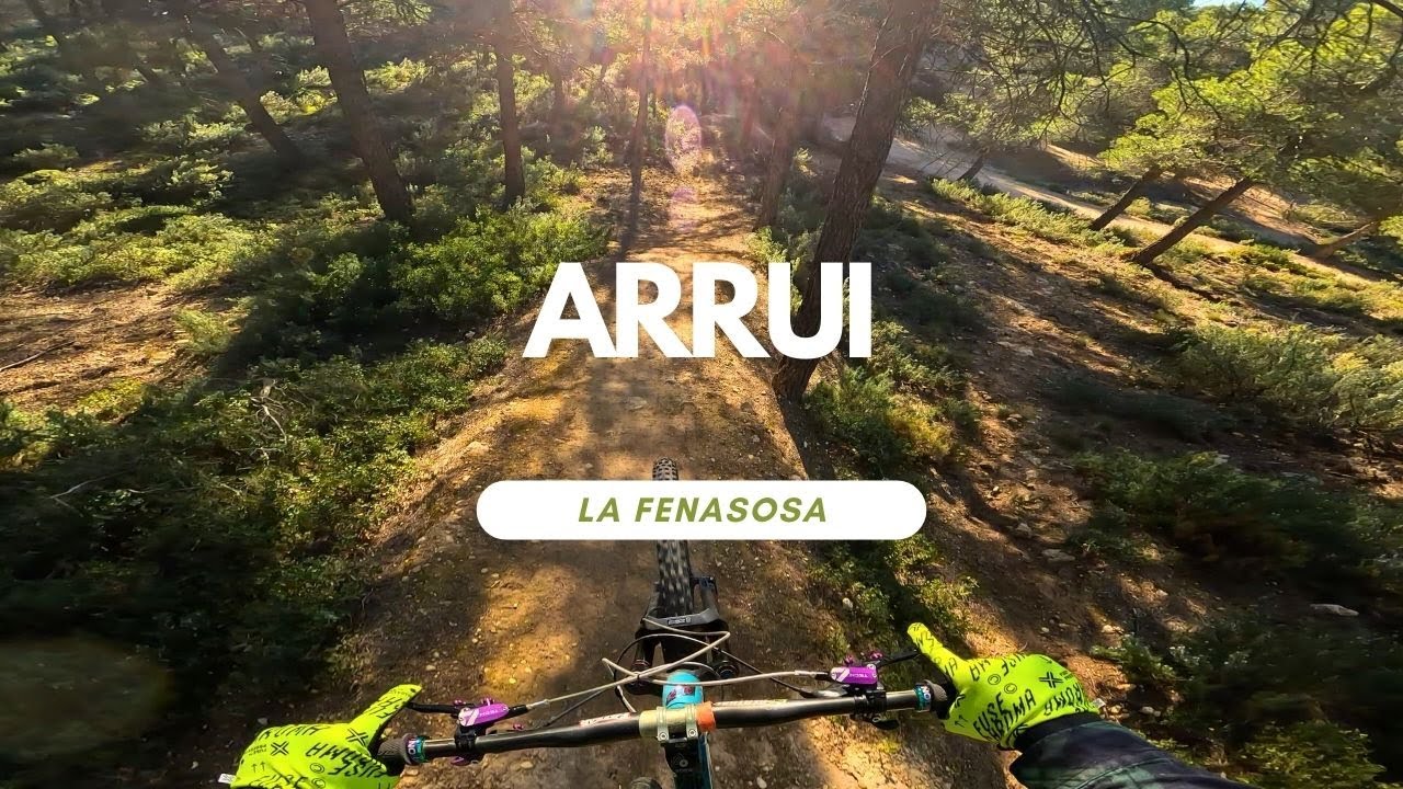 Arrui | Blue Line | Bikepark La Fenasosa Spain 🇪🇸 Full Run POV RAW