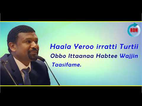 Haala Yeroo Irratti Turtii Obbo Ittaanaa Habtee Wajjin Taasifne RDH