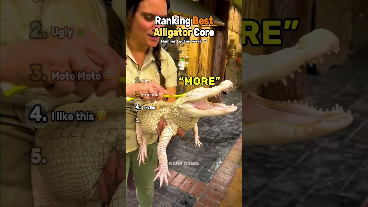 Ranking Best Alligator Core (Part 3) ☠️