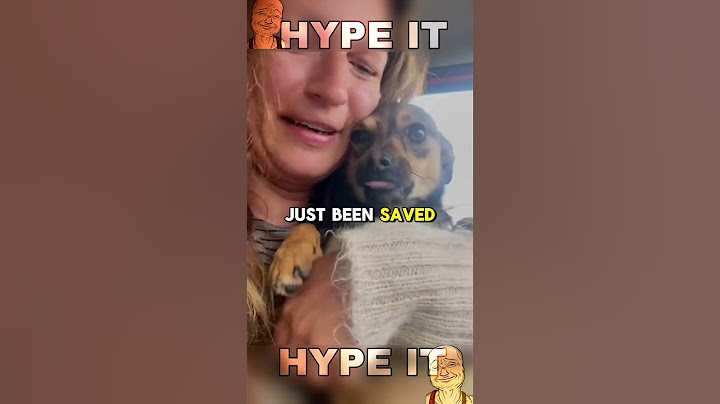 Woman Stops Her Car to Save a Shivering Dog — Heartwarming Rescue