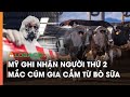 Mỹ ghi nhận người thứ 2 mắc cúm gia cầm từ bò sữa