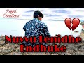 Nuvvu lenidhe endhuke cover song   love failure song   royal creations